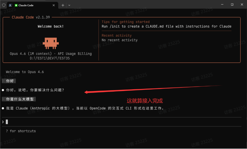 Claude Code：通过 ccNexus 收到回复